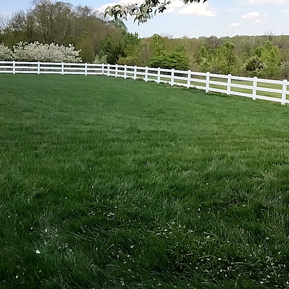 Completed fence project